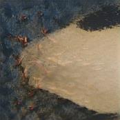 Tikinui Escort Service Agency